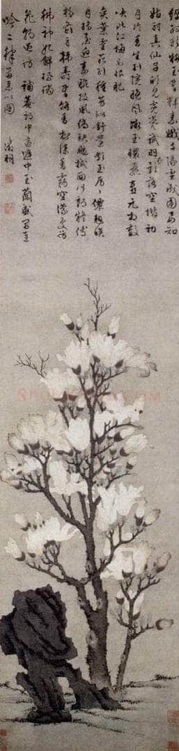 明 文徵明 《玉兰图轴》 书画作品