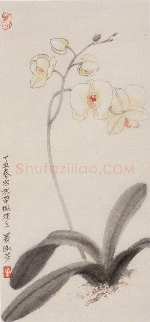 1997年 萧淑芳 蝴蝶兰 书画作品