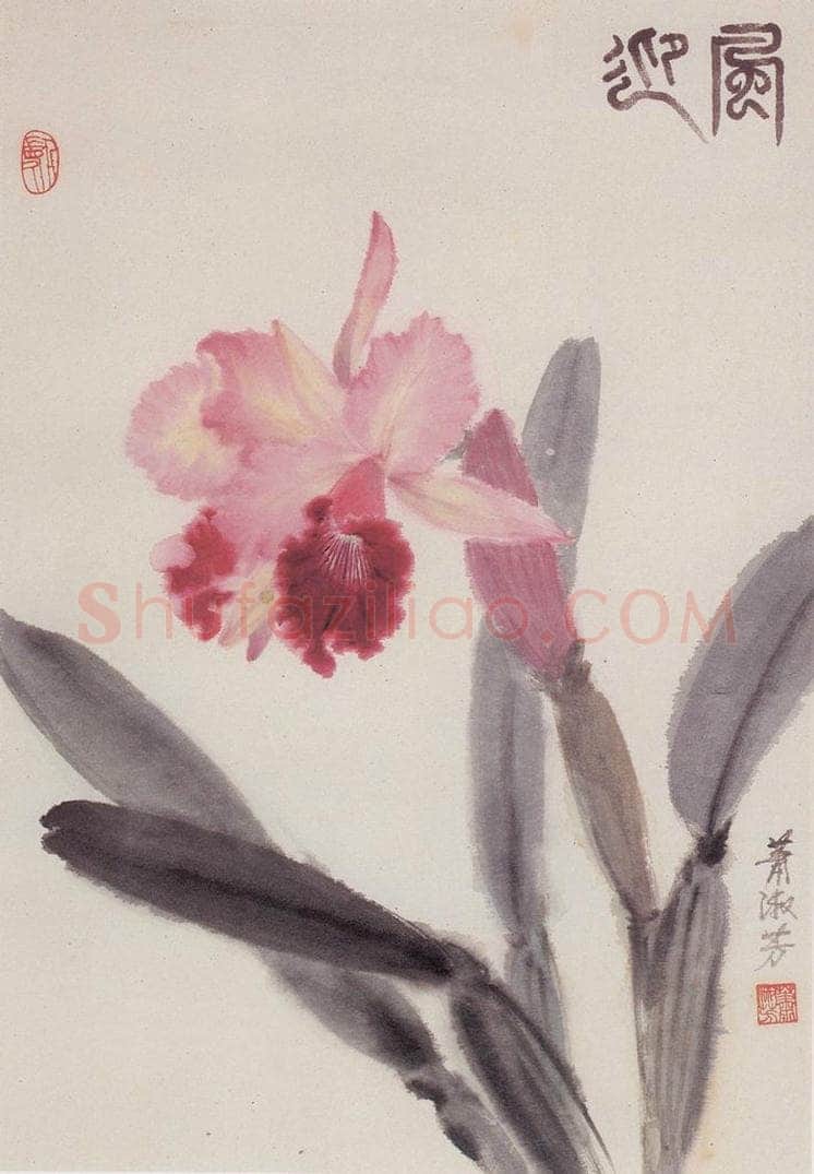 80年代 萧淑芳 迎风 书画作品