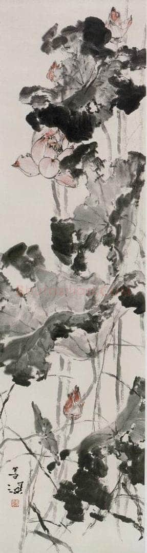  杨善深 《荷花》 书画作品