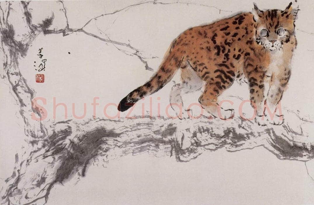  杨善深 《豹猫》 书画作品