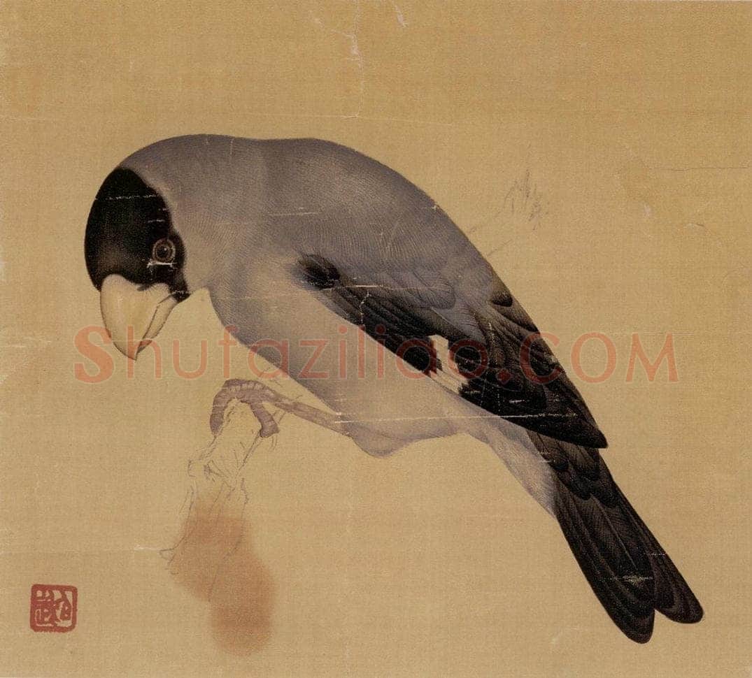 1948年 马晋 《花卉翎毛写生》 书画作品