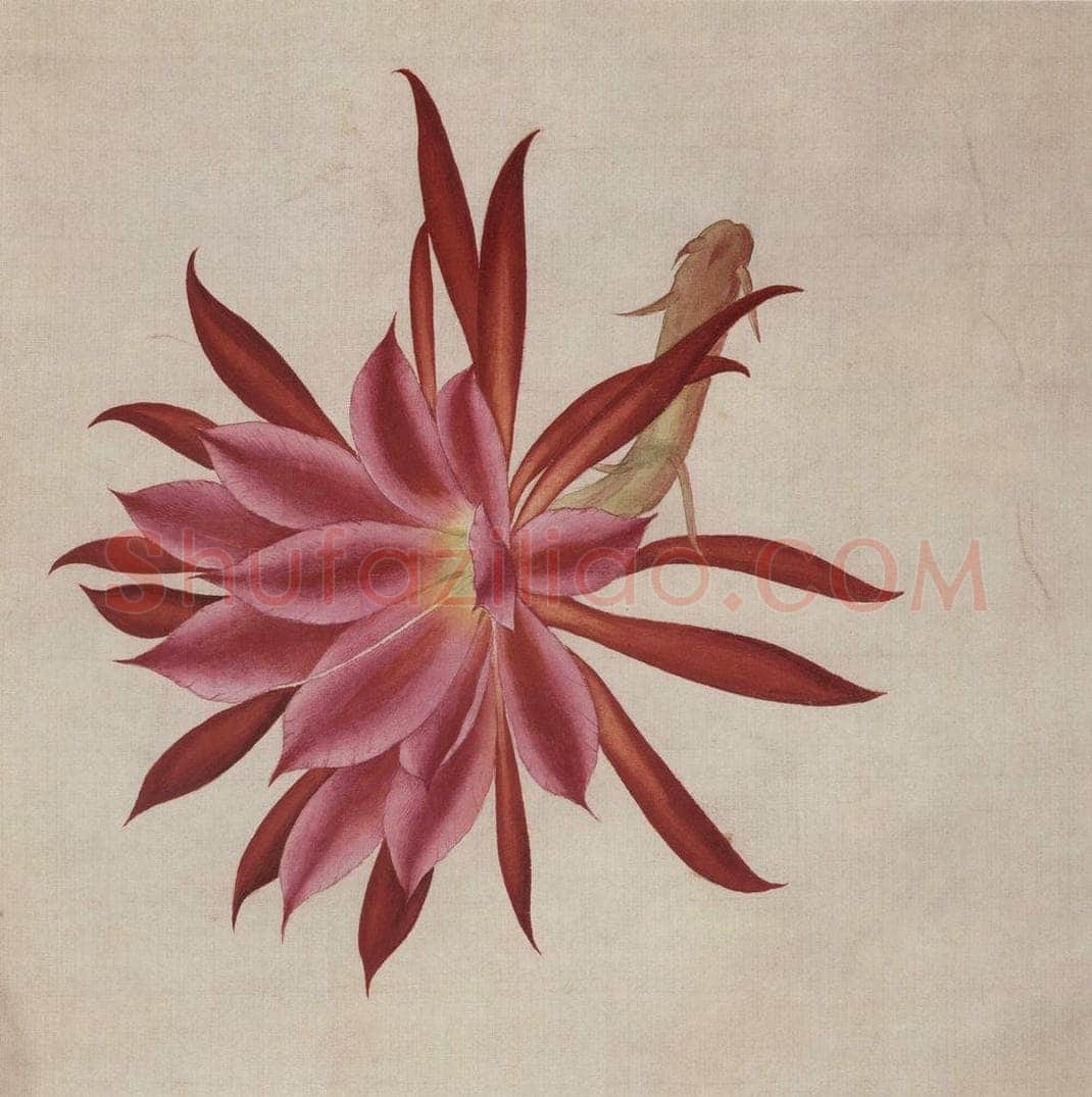 1948年 马晋 《花卉翎毛写生》 书画作品