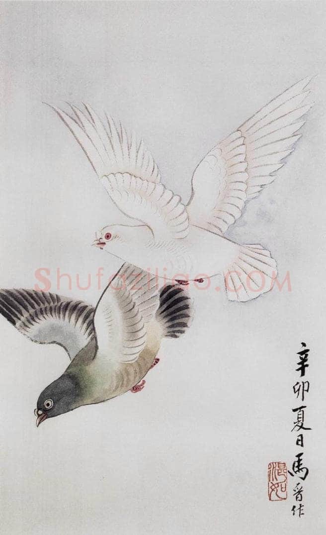 1951年 马晋 《和平鸽信笺》 书画作品