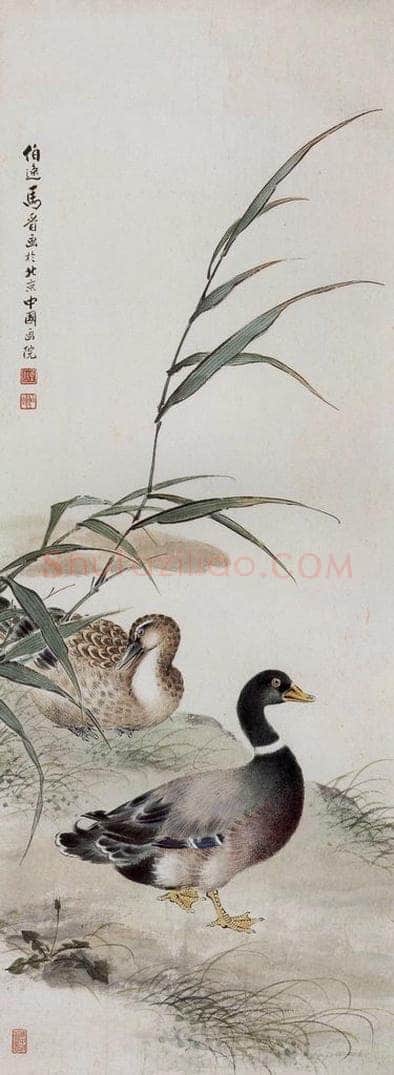 1959年 马晋 《湖畔双鸭》 书画作品