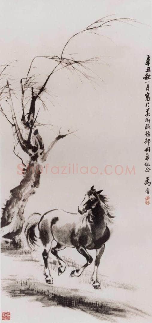 1961年 马晋 《马》 书画作品