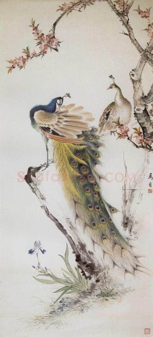 1964年 马晋 《桃花孔雀》 书画作品