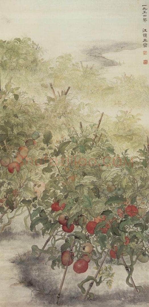 1954年 汪慎生 《西红柿》 书画作品