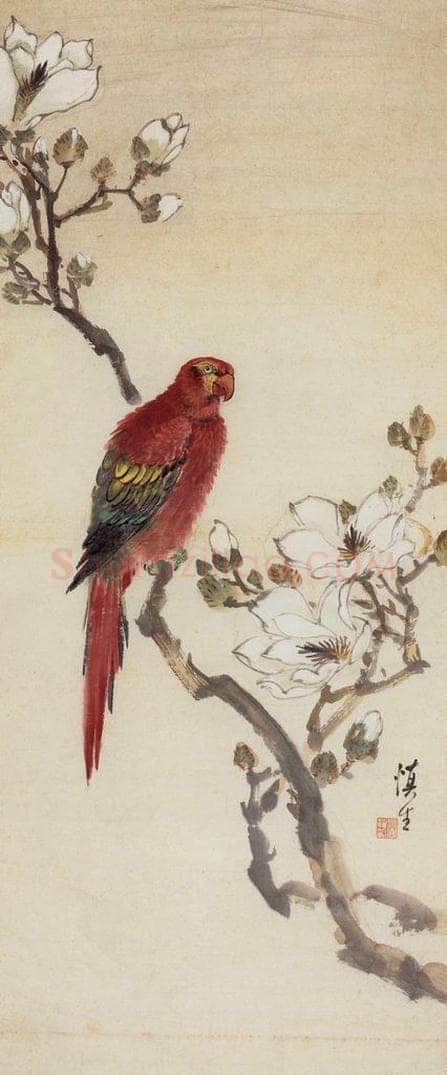 1956年 汪慎生 《玉兰鹦鹉》 书画作品