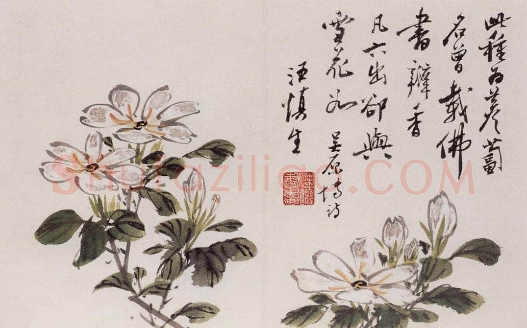 1957年 汪慎生 《花鸟册页》 书画作品