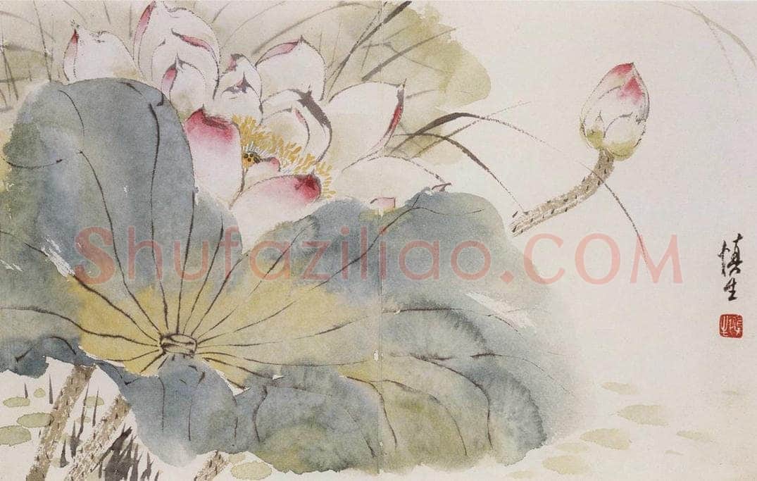 1957年 汪慎生 《花鸟册页》 书画作品