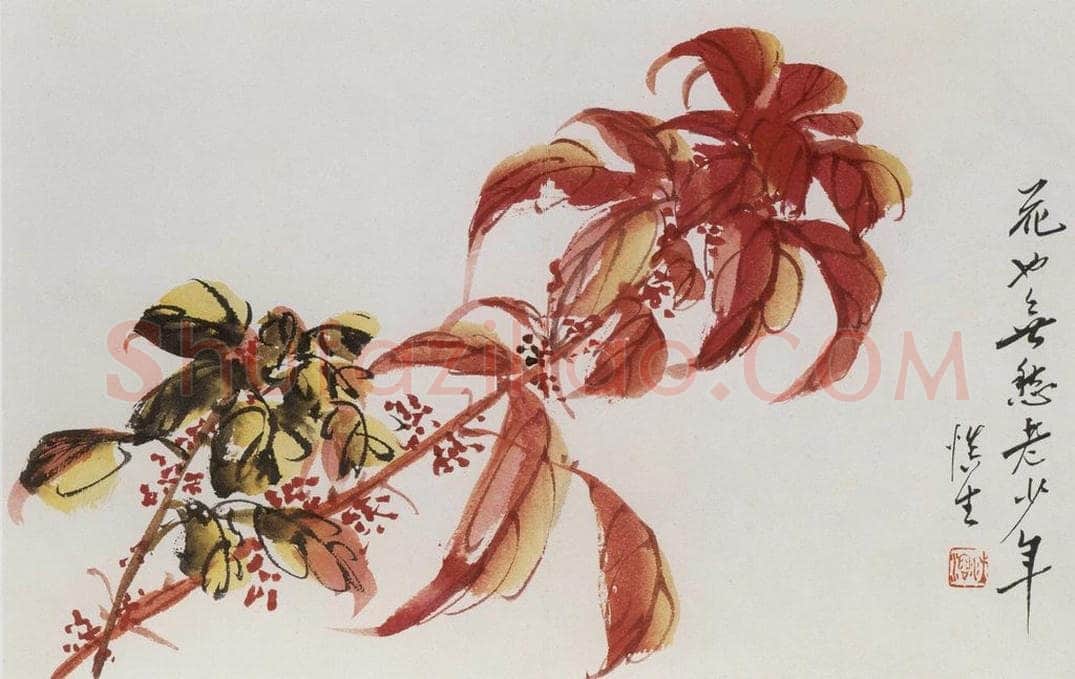 1957年 汪慎生 《花鸟册页》 书画作品