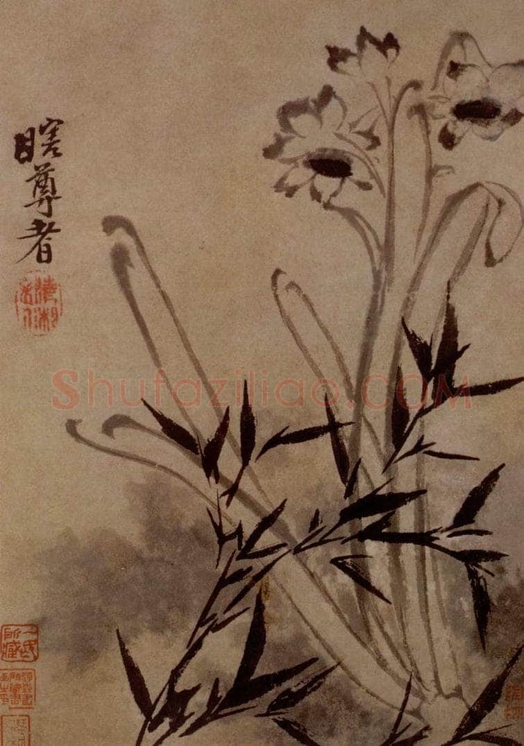 明末清初 石涛 花卉图册 书画作品