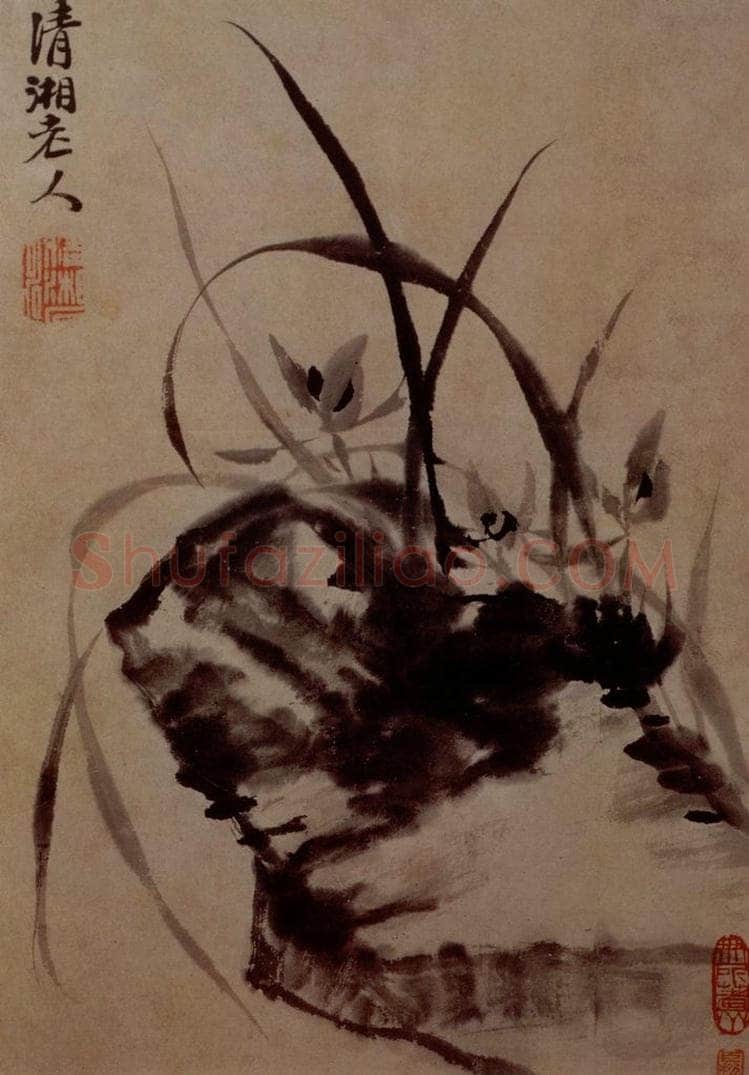 明末清初 石涛 花卉图册 书画作品