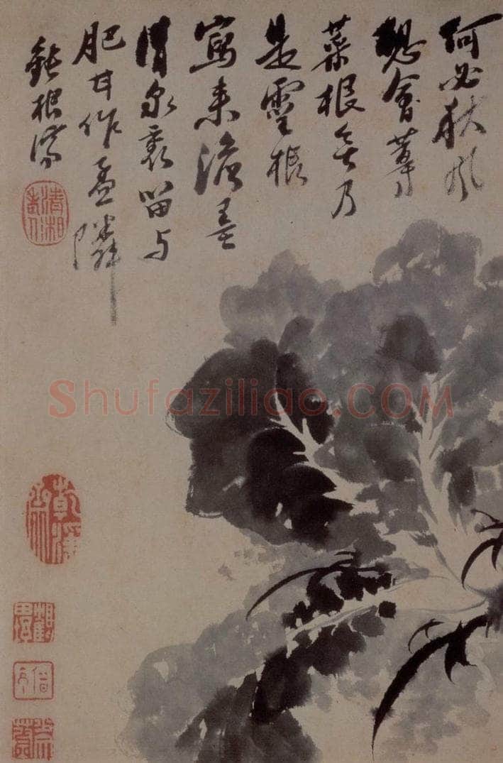 1694年 石涛 《花卉12开》 书画作品
