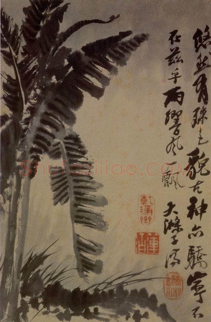 1694年 石涛 《花卉12开》 书画作品