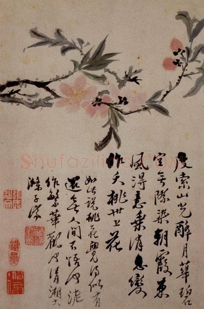 1694年 石涛 《花卉12开》 书画作品