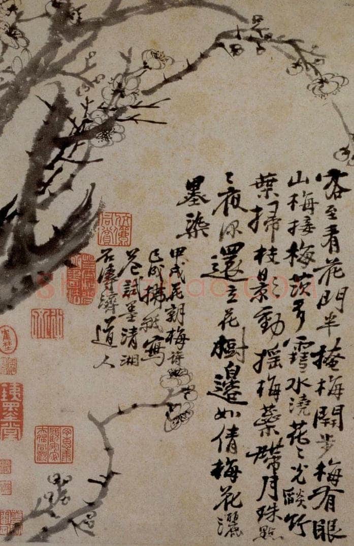 1694年 石涛 《花卉12开》 书画作品