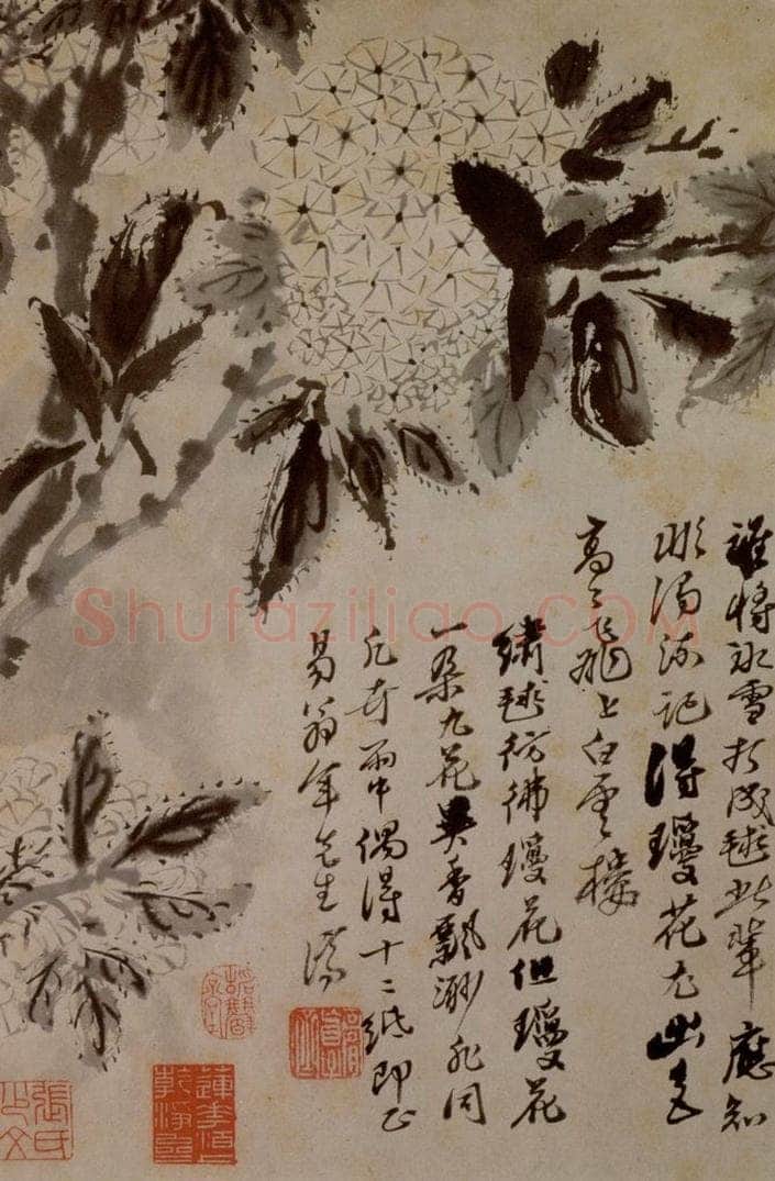 1694年 石涛 《花卉12开》 书画作品