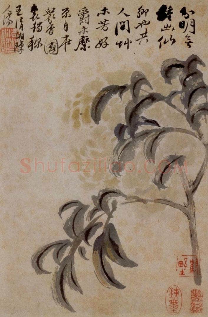 1694年 石涛 《花卉12开》 书画作品