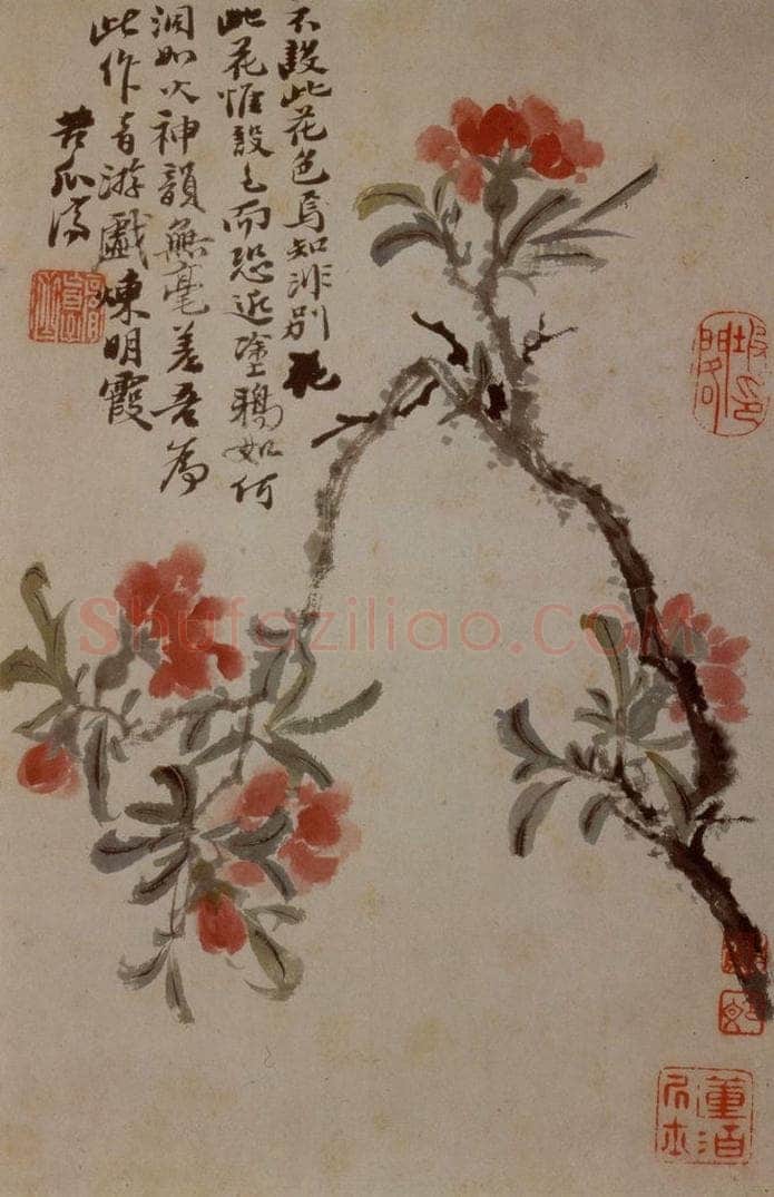 1694年 石涛 《花卉12开》 书画作品