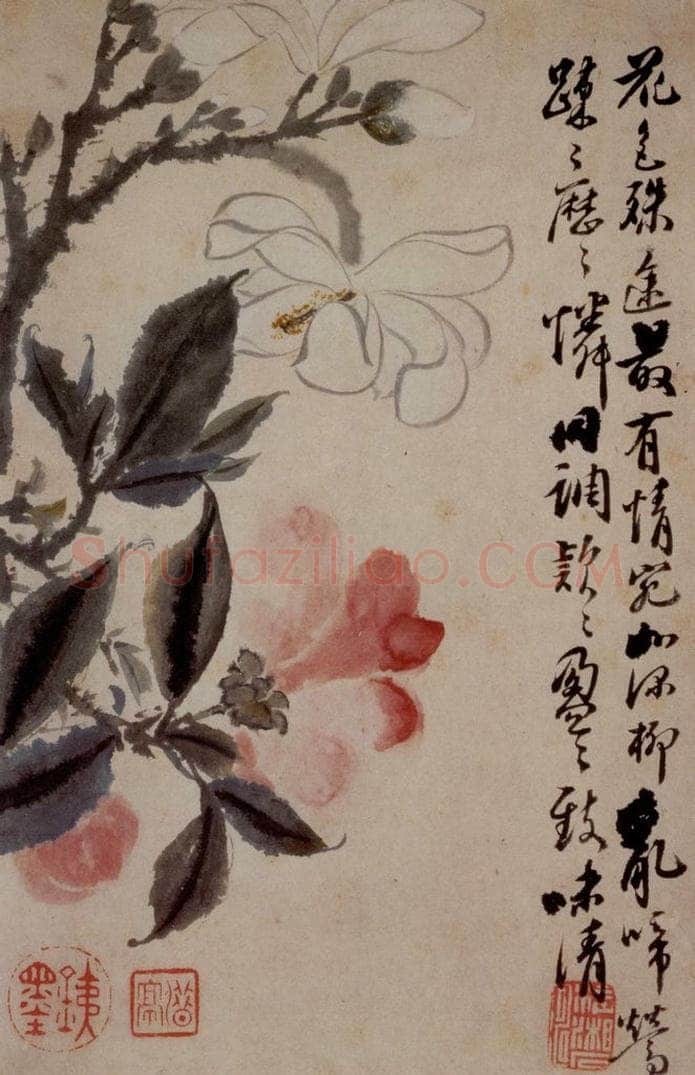 1694年 石涛 《花卉12开》 书画作品