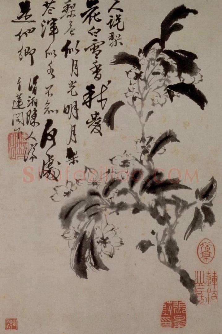 1694年 石涛 《花卉12开》 书画作品
