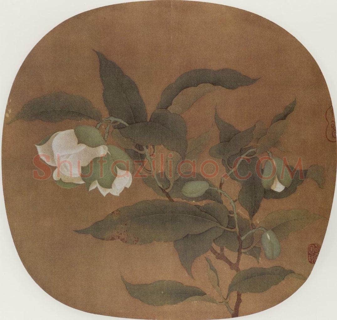 南宋  白茶花 书画作品