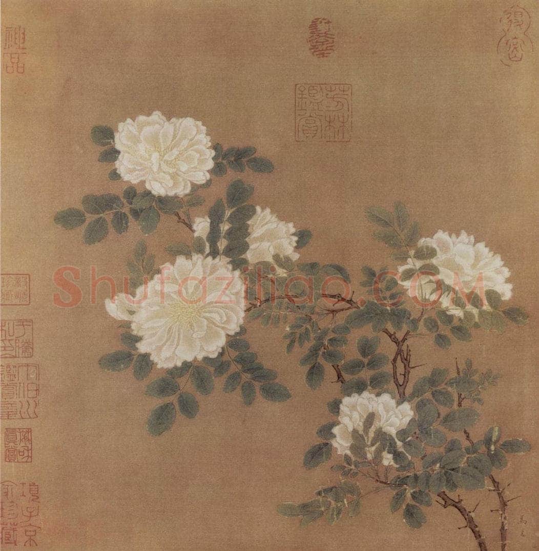 南宋 马远 白蔷薇图 书画作品