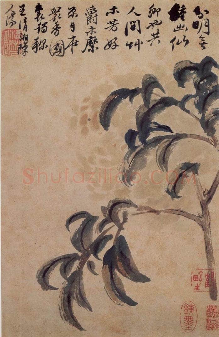 清 石涛 《花卉册》 书画作品