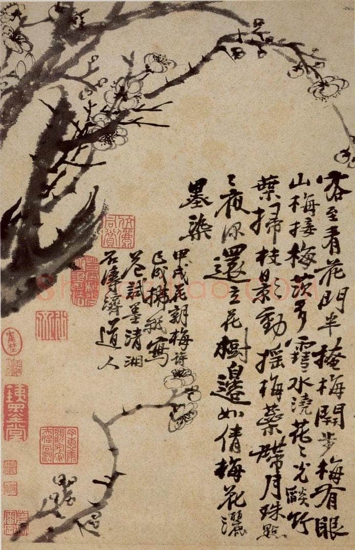 清 石涛 《花卉册》 书画作品