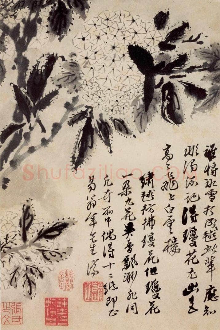 清 石涛 《花卉册》 书画作品