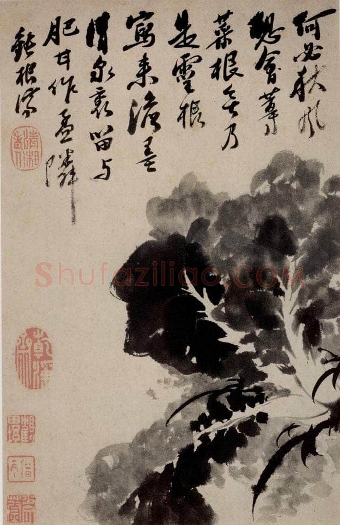 清 石涛 《花卉册》 书画作品