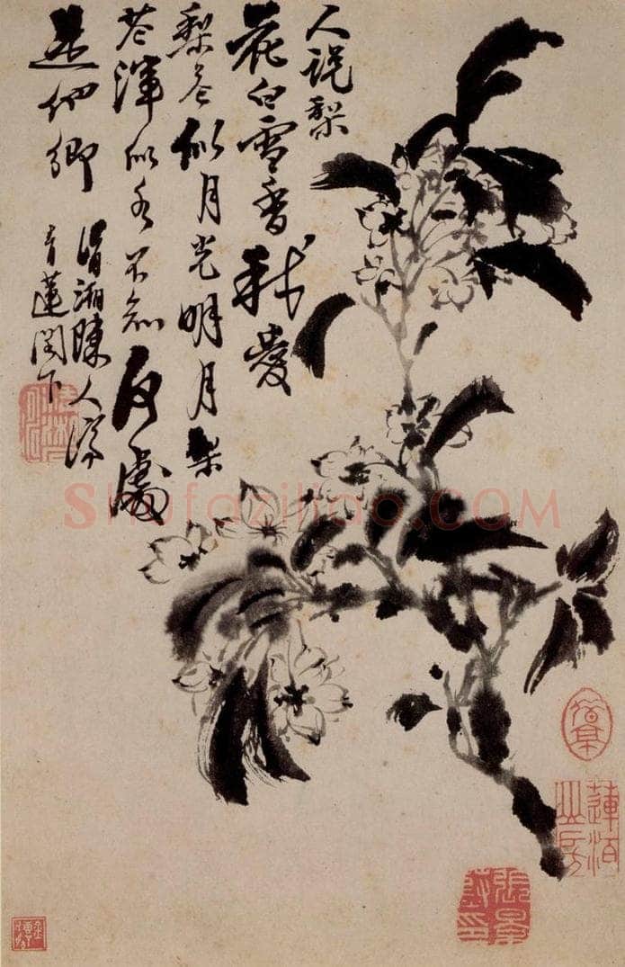 清 石涛 《花卉册》 书画作品