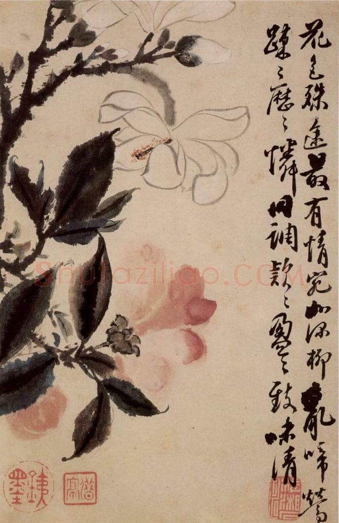 清 石涛 《花卉册》 书画作品
