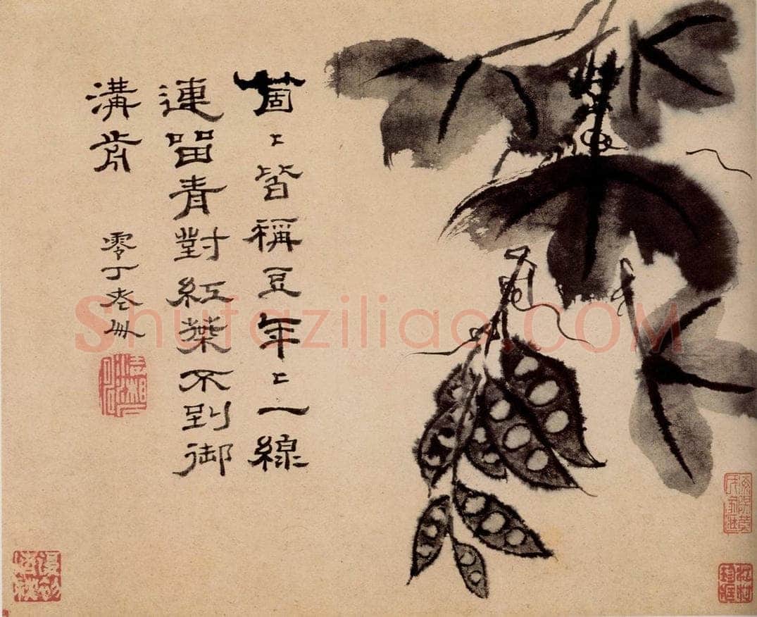 清 石涛 《蔬果册》 书画作品