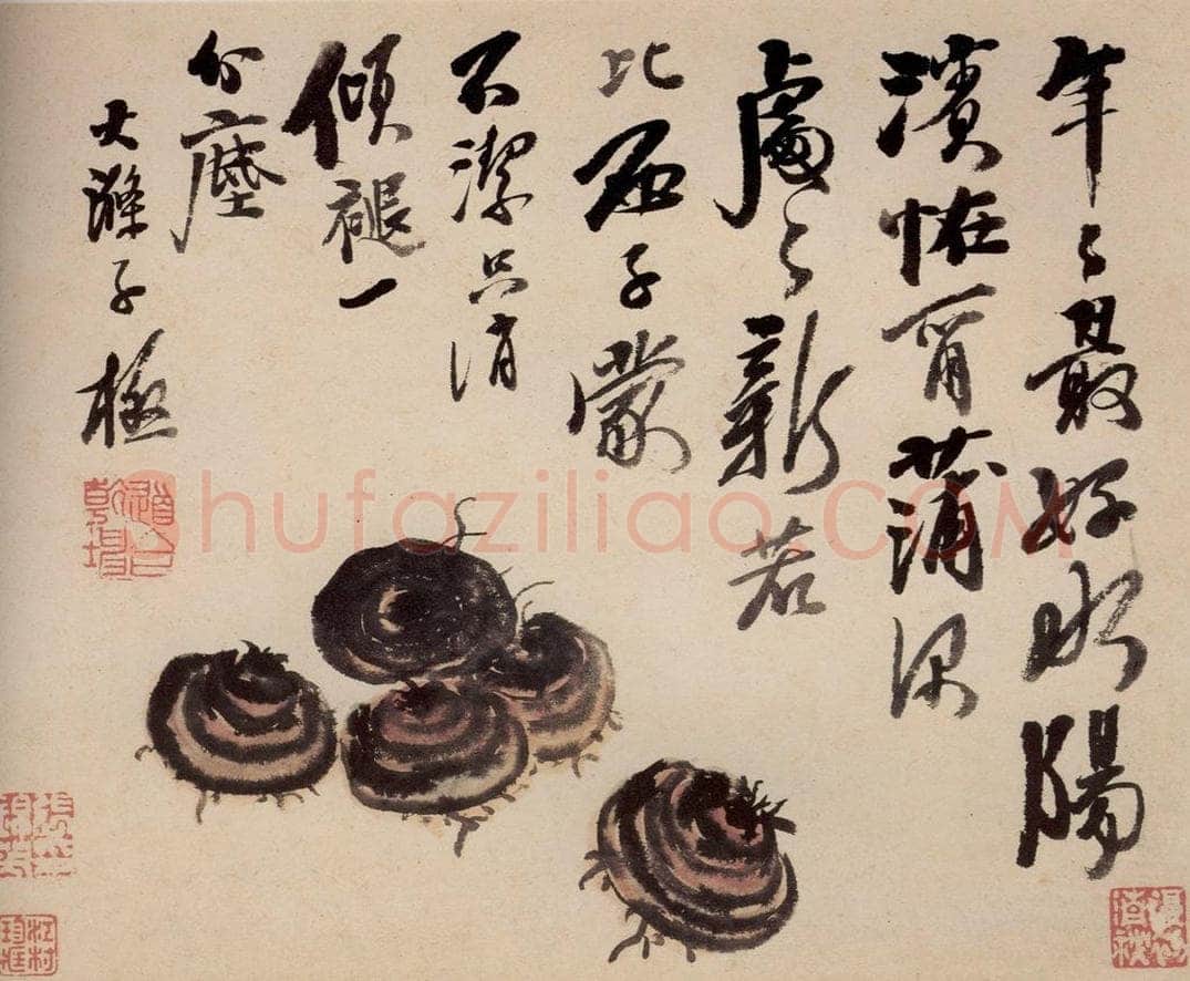 清 石涛 《蔬果册》 书画作品