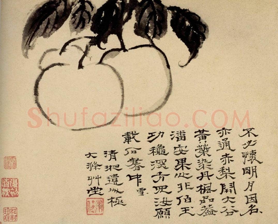清 石涛 《蔬果册》 书画作品