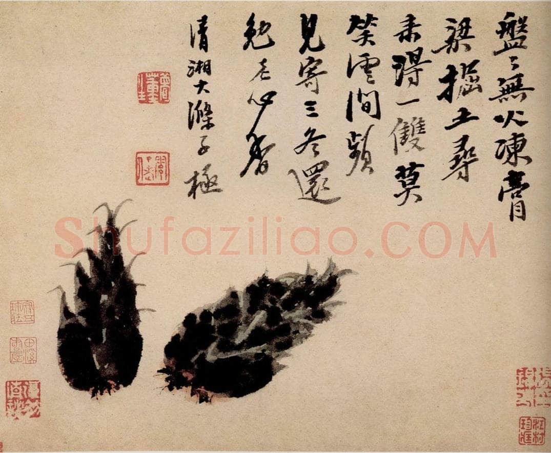 清 石涛 《蔬果册》 书画作品