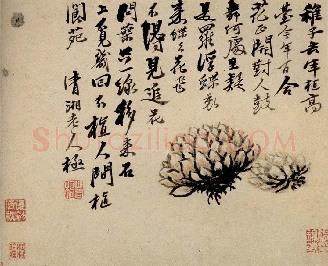 清 石涛 《蔬果册》 书画作品