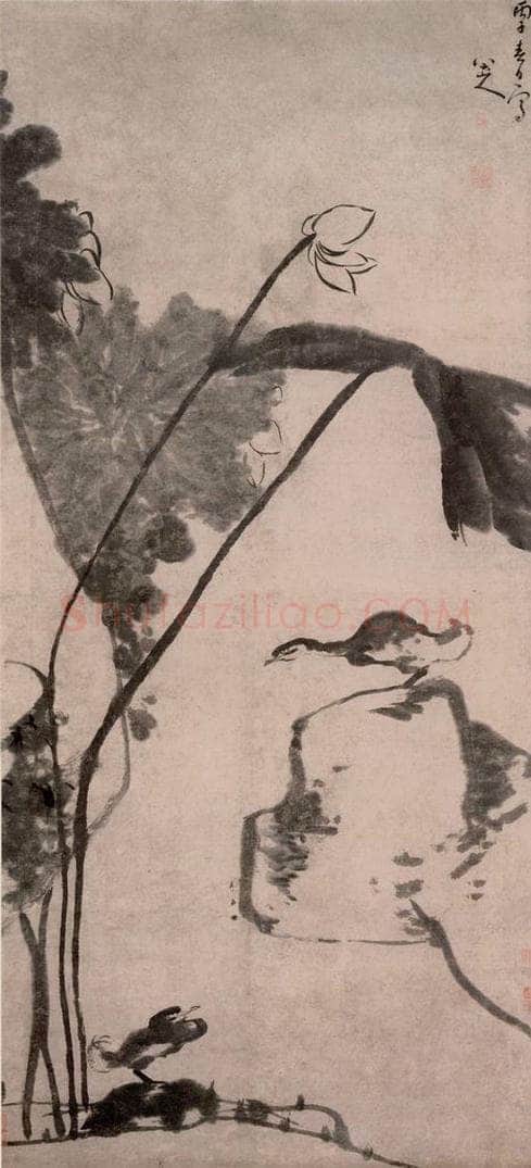 清 朱耷 《荷鸭图轴》 书画作品