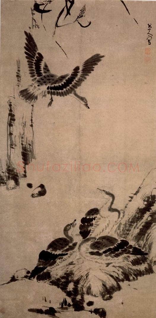 清 朱耷 《芦雁图轴》 书画作品