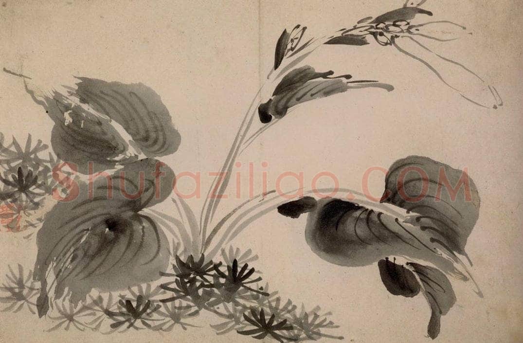 清 朱耷 《墨花册》 书画作品