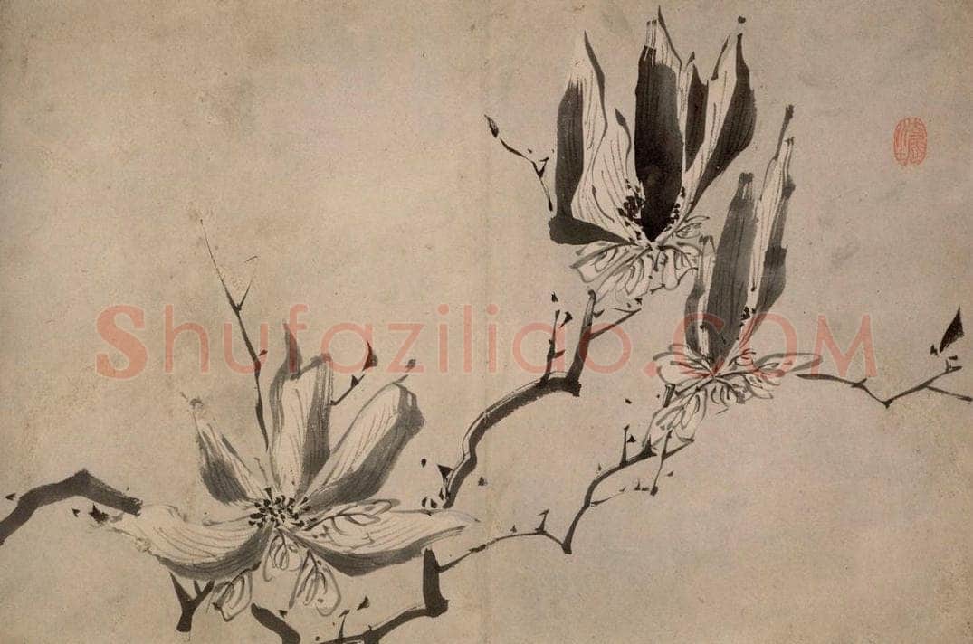 清 朱耷 《墨花册》 书画作品