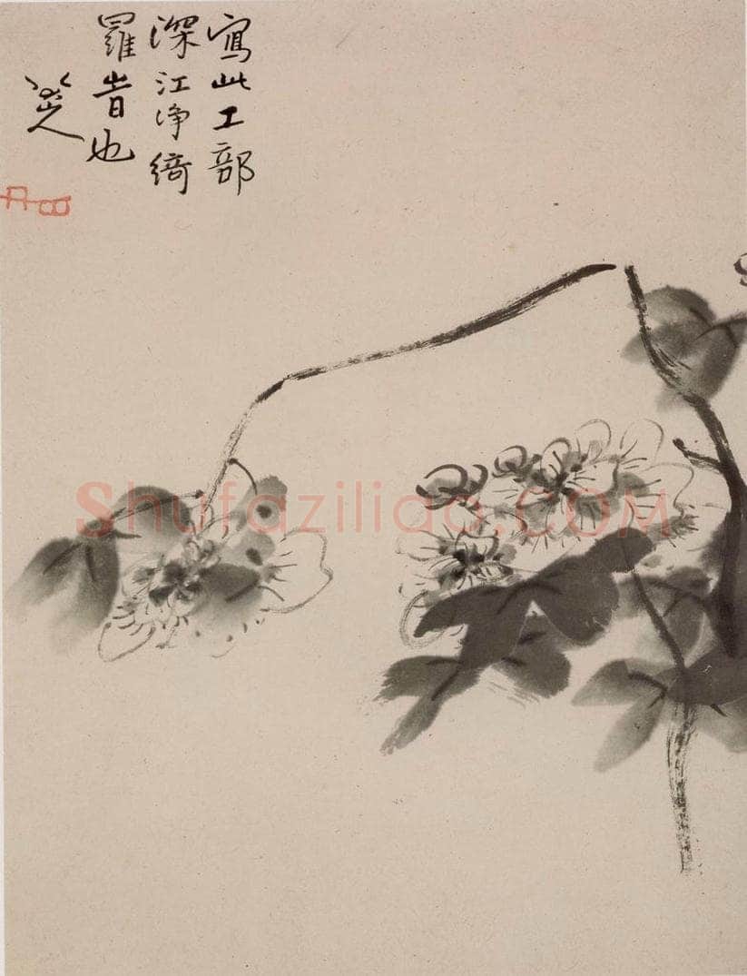 清 朱耷 《花鸟山水册》 书画作品