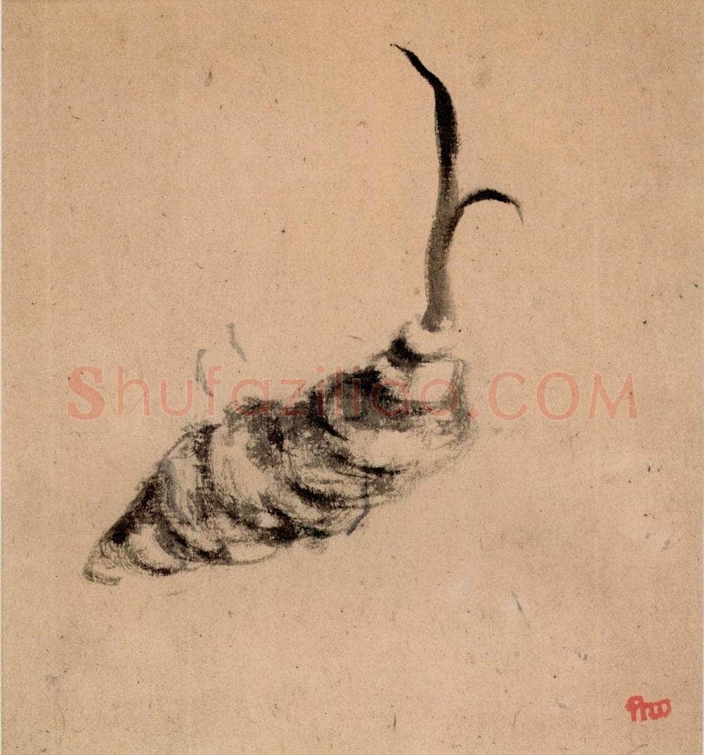 清 朱耷 《花果册》 书画作品