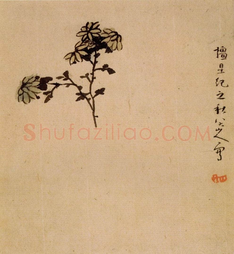 清 朱耷 《花果册》 书画作品