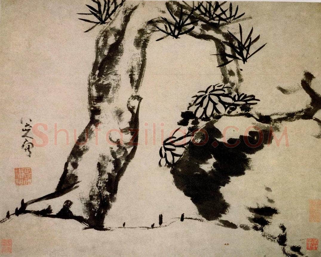 清 朱耷 《苍松菊石图页》 书画作品