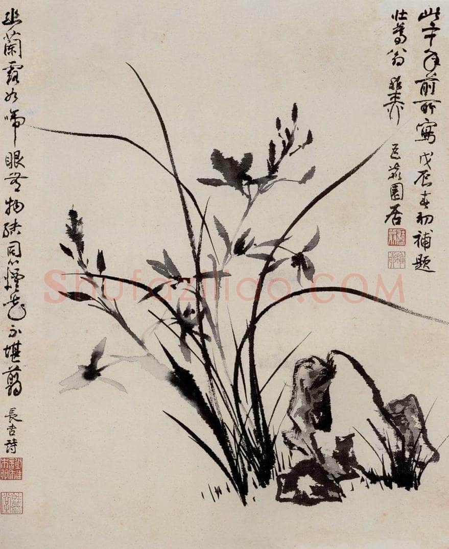 1965年 谢稚柳 幽兰图 书画作品