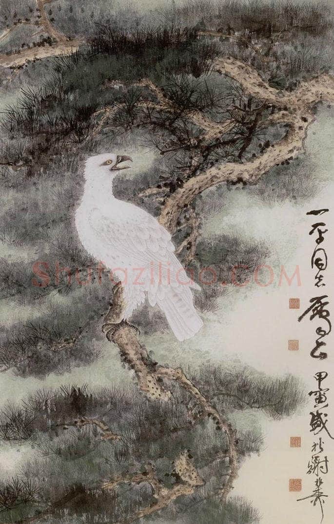 1974年 谢稚柳 白鸢青松图 书画作品